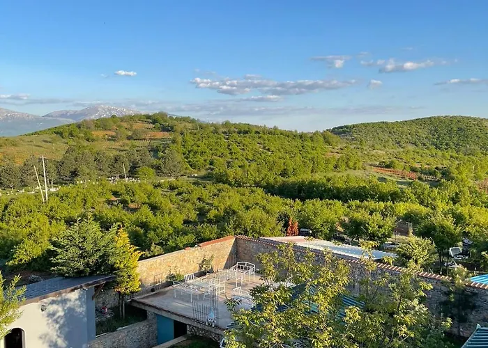 Helga's بيت ضيافة Lini